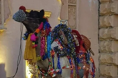 Unveiling Royal Rajasthan: A Luxurious 10-Day Car Tour