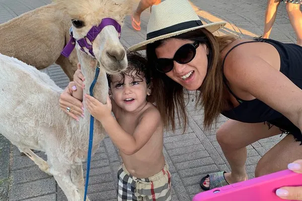 Alpaca Sunset Beach Walk: Pizzo's Adorable AlpacSelfies!