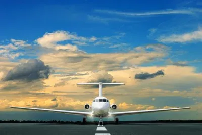 Stress-Free Cruise Transfers: Civitavecchia to Rome Airport