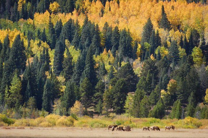 Experience Image img1