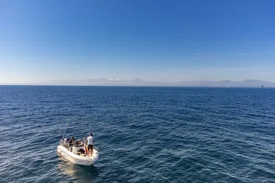 Epic Tuna Showdown: Full-Day Fishing Adventure in Tortoreto with a Pro!