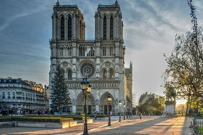 Notre Dame Cathedral: Interior Guided Visit & Reserved Access