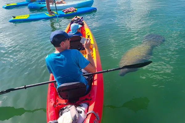 Kayak Tour: Manatees, Mangroves & Secret Beach!