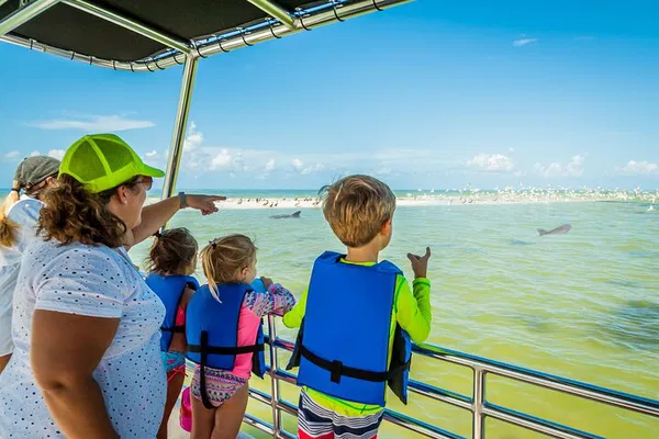 Discover Marco Island's Hidden Gems: A Wildlife & Shelling Ecotour Adventure