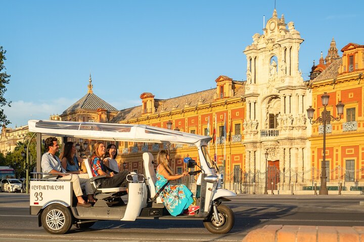 Seville Eco Tuk Tuk Tour: Private City Highlights