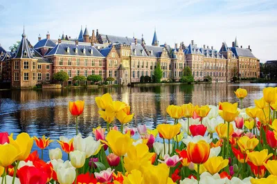 Explore Rotterdam, Hague & Delft: A Luxurious Dutch Private Tour