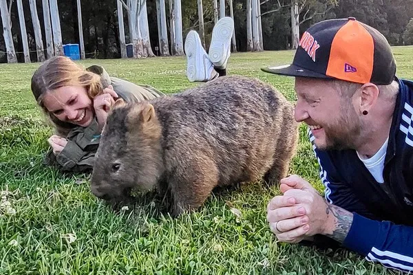 WILD Wombat & Kangaroo Tour: See Australia's Best!