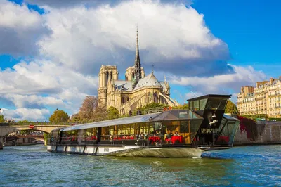 Parisian Delights: A Guided Tour with Eiffel Tower, Seine Cruise, and Gourmet Lunch