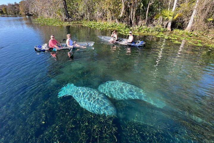 Experience Image img1