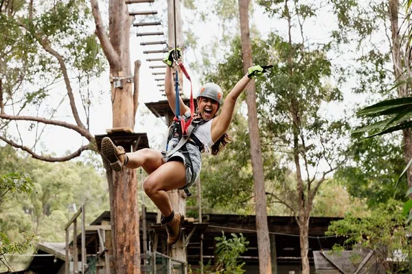Tamborine Mountain TreeTop Challenge: Zipline Adventure!