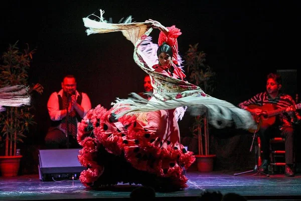 Flamenco Show Ticket: Barcelona City Hall