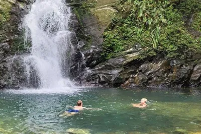 Bach Ma National Park: Trekking Adventure to Majestic Peaks & Waterfalls