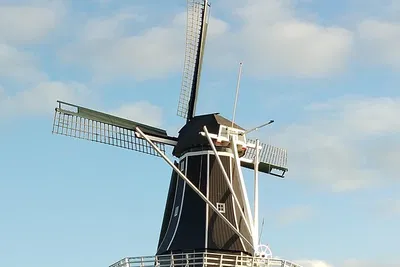 Discover Haarlem: A Charming Blend of History and Modernity