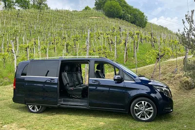 Venetian Hills Prosecco Adventure: A Day of Wine, Views & Italian Delights