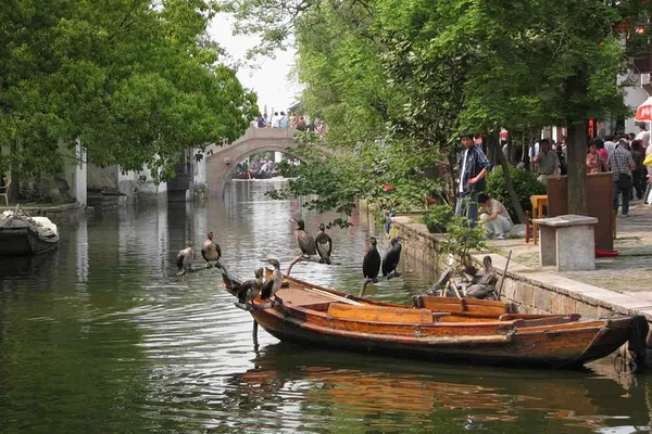 Unveiling Suzhou & Zhouzhuang: A Luxurious Private Day Trip from Shanghai