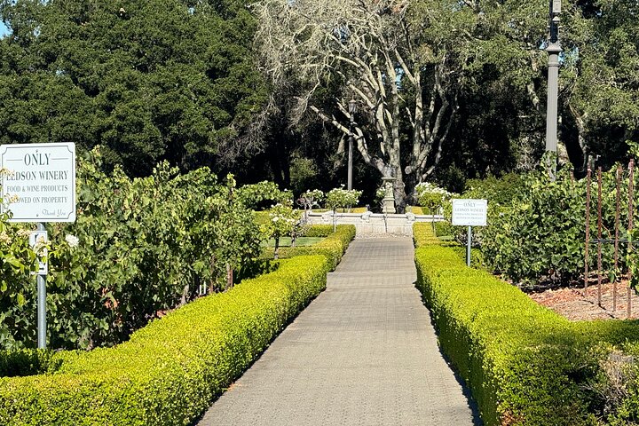 Experience Image img2