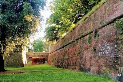 Lucca: Private Shore Trip from La Spezia Port