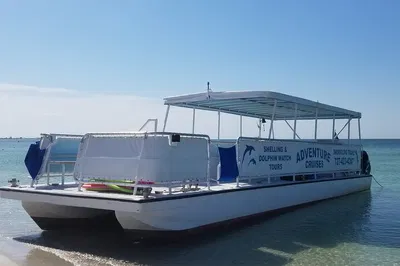 Discover St. Petersburg's Aquatic Wonders: Dolphin, Shelling & Snorkeling Private Charters!