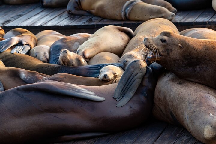 Experience Image img4