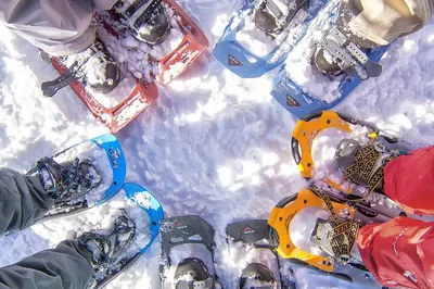 Chamonix Snowshoeing Adventure: Guided Winter Wonderland