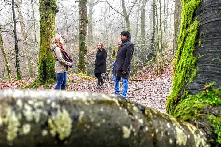 Experience Image img3