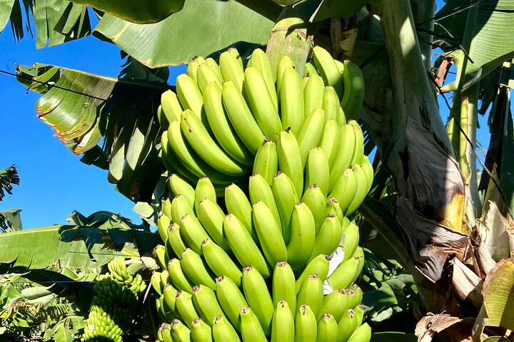 img0