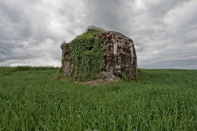Argonne Forest: Relive WWI History on a Guided Battlefield Tour
