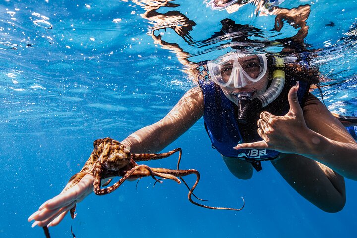 Experience Image img2