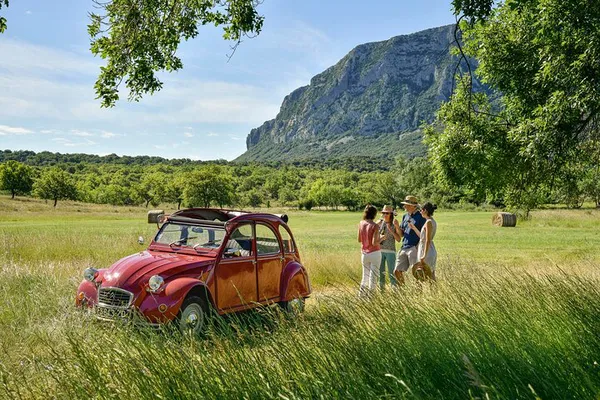Vintage Car Wine Tour: Sip & Drive Through Languedoc Vineyards