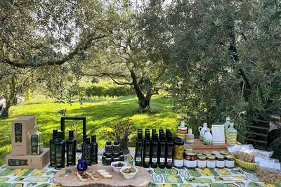 Lake Garda Olive Oil Tour: Taste Views & History!
