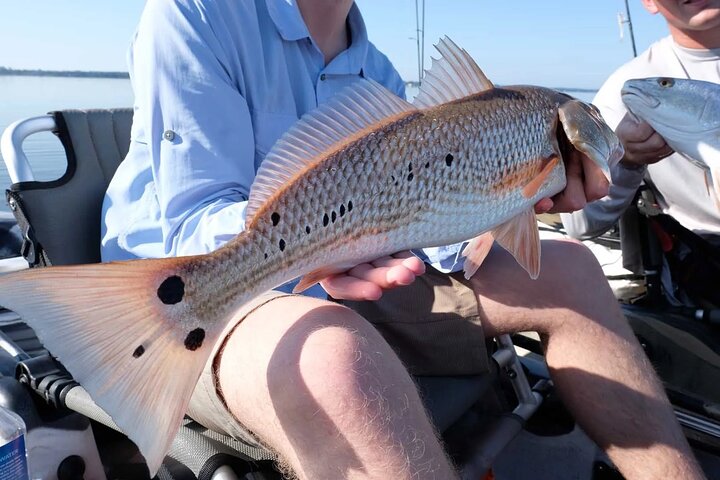 Experience Image img1