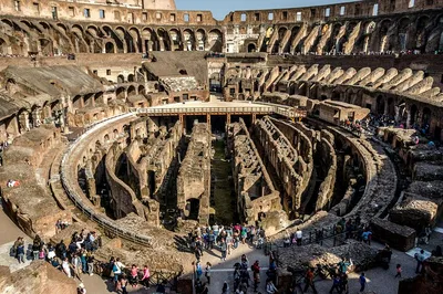 Colosseum, Roman Forum & Palatine Hill: Skip-the-Line Access