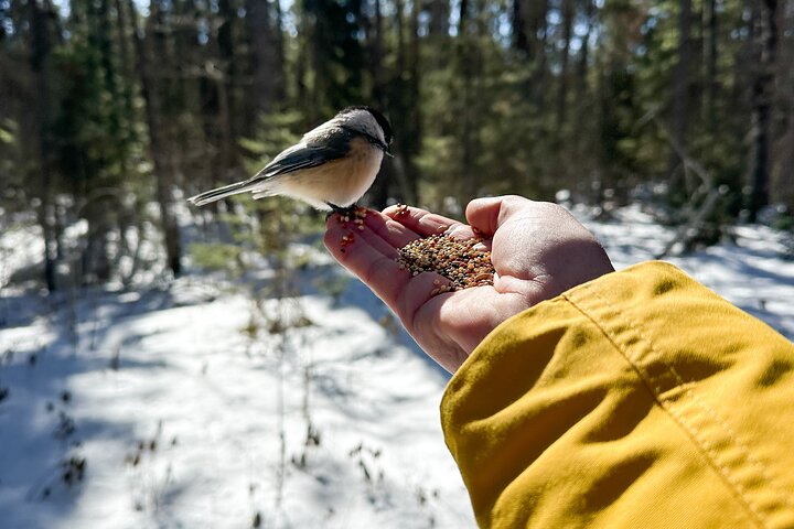 Experience Image img3