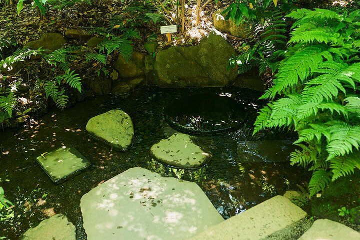 https://images.dyvarcity.com/experience-images/dyvarcity_e398d9d0ce17a782a18e15557_3d.jpg