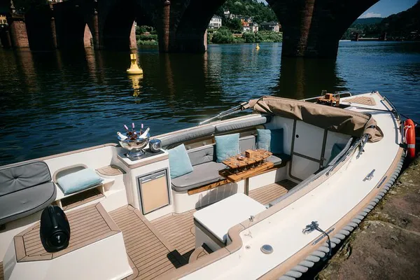 Heidelberg Boat Trip: Private Tour with Captain - 1.5 Hours