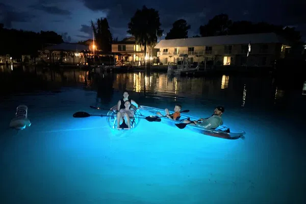 Enchanting Crystal River: Clear Kayak Sunset & Glow Tour of Three Sisters Springs