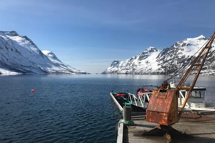 img0
