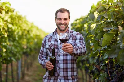 Frascati's Vineyard Escape: Wine, History & Roman Holiday
