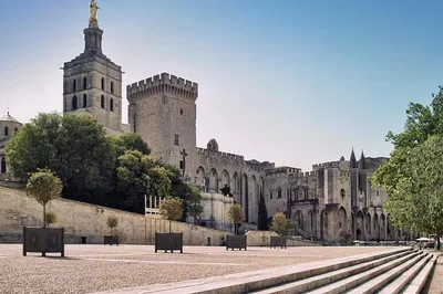 Uncover Avignon's Medieval Majesty: A Guided Walking Tour & Papal Palace
