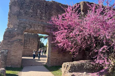 Colosseum Tour: Skip the Line & Explore Ancient Rome