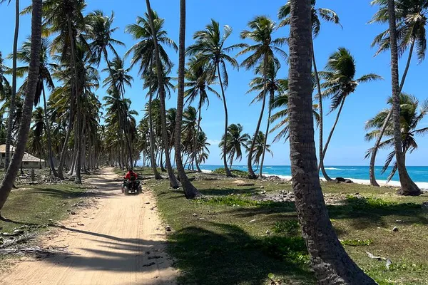 Punta Cana Adventure: Half-Day Safari, ATV/Horse Ride – Nature & Thrills Await!