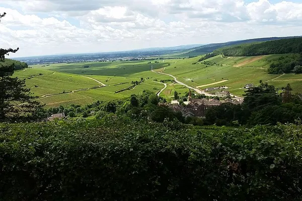 Burgundy Wine Route: A Luxurious Private Tour from Beaune