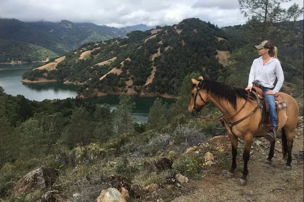 Sonoma Horseback Riding: Wine Country Views
