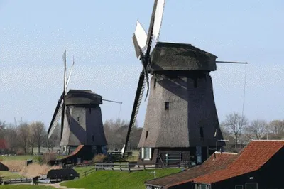 Discover Authentic Holland: Windmills, Waterways & Wooden Shoes Adventure