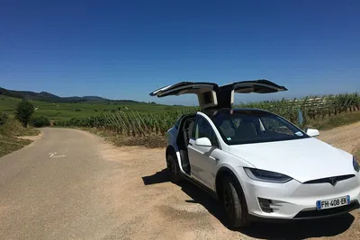Alsace Private Tour: Tailored Day with Local Driver