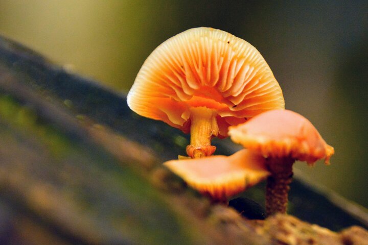 Experience Image img3