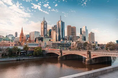 Melbourne Shore Excursion: City & Wildlife Adventure