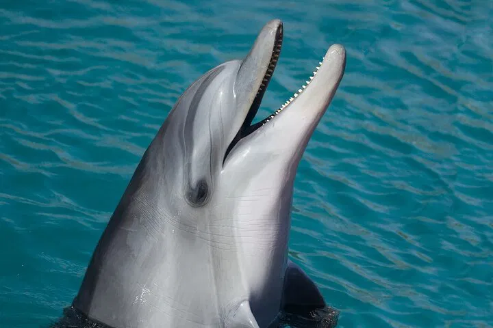 img0