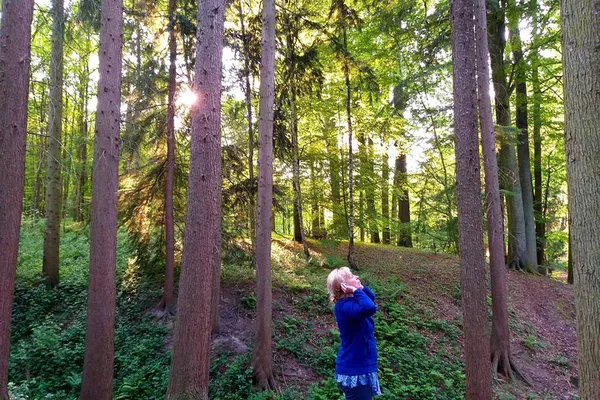 Reconnect with Nature: Sonian Forest Bathing Experience