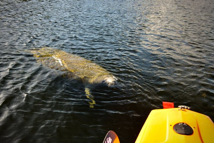 Experience Image img3